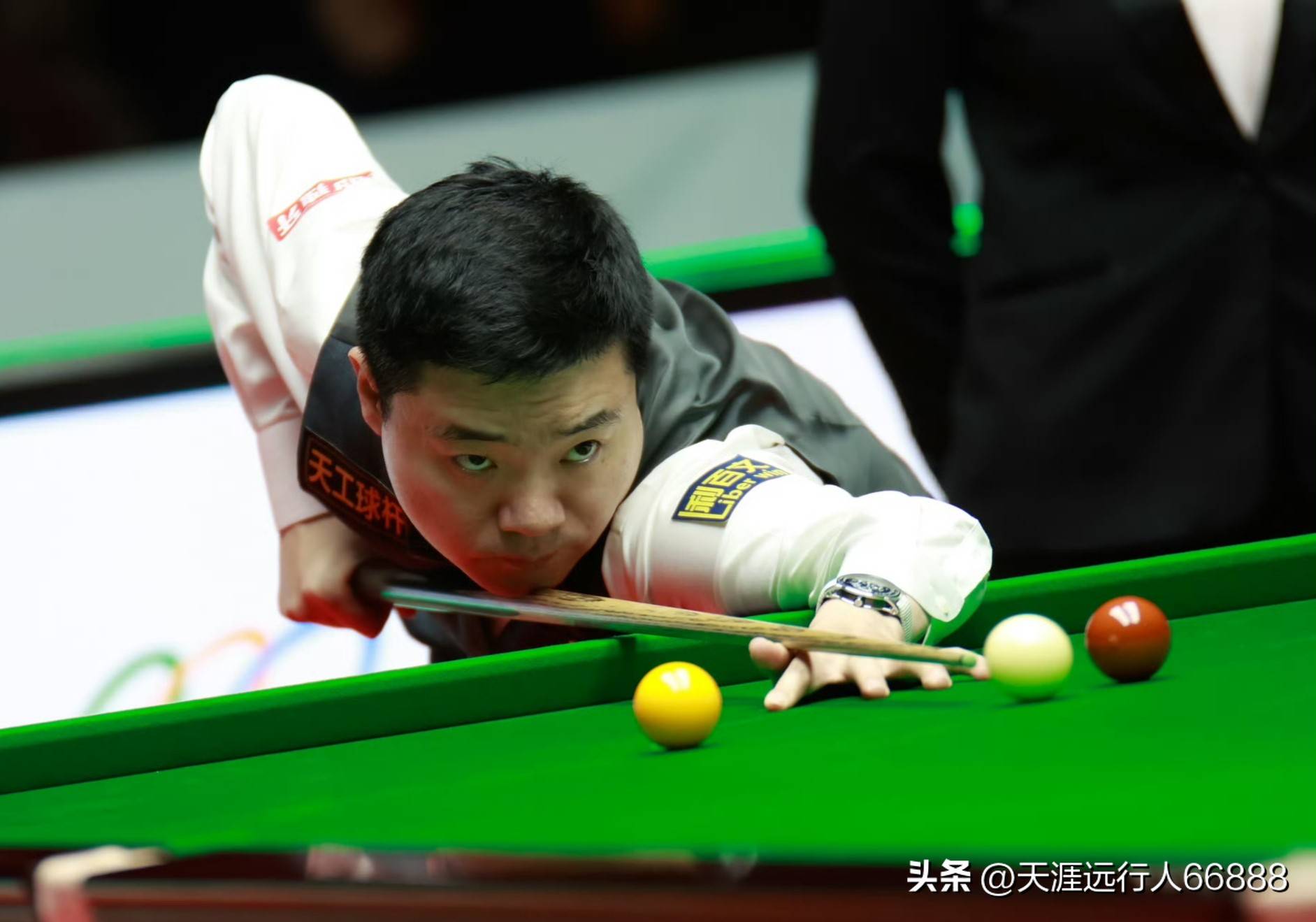 尼克斯引进 尼克斯引进