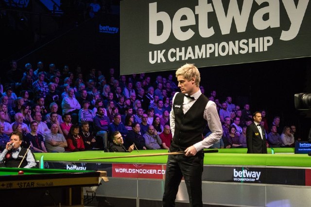 泳界需要的 泳界需要的